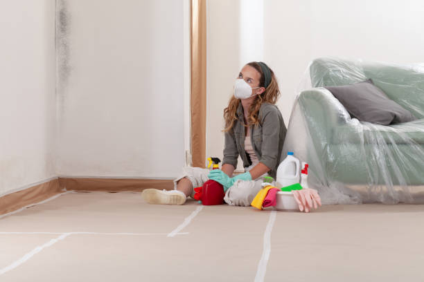 Reliable Mold Remediation contractor in Victory Lakes, NJ by 24 Hour Mold Removal